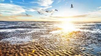 【世界遺産】ワッデン海