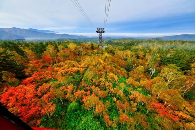 大雪山 旭岳の日本一早い紅葉（北海道）