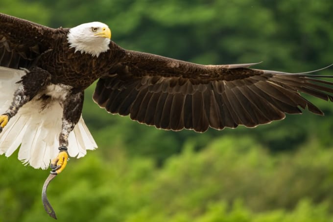 那須どうぶつ王国