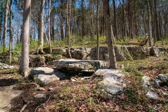 マンモス・ケーヴ国立公園