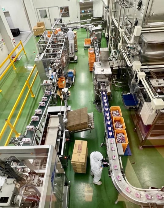 「こんにゃくパーク」の工場見学