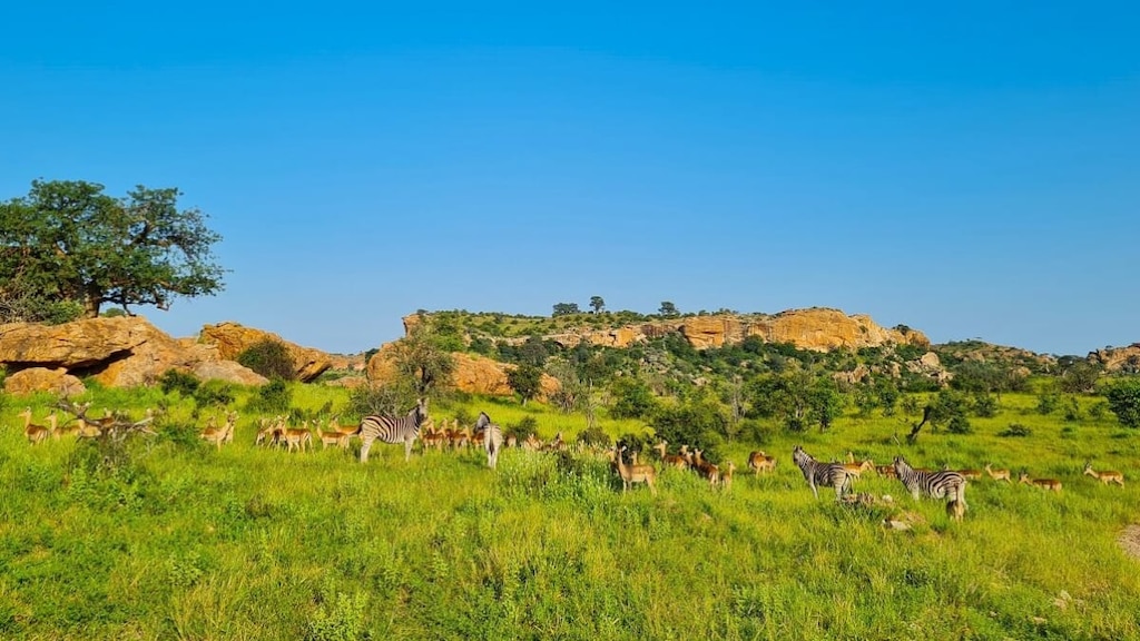 南アフリカ共和国8つの世界遺産｜豊かな自然と古代の面影を訪ねよう！