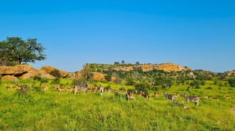 マプングブエの文化的景観（南アフリカ世界遺産）