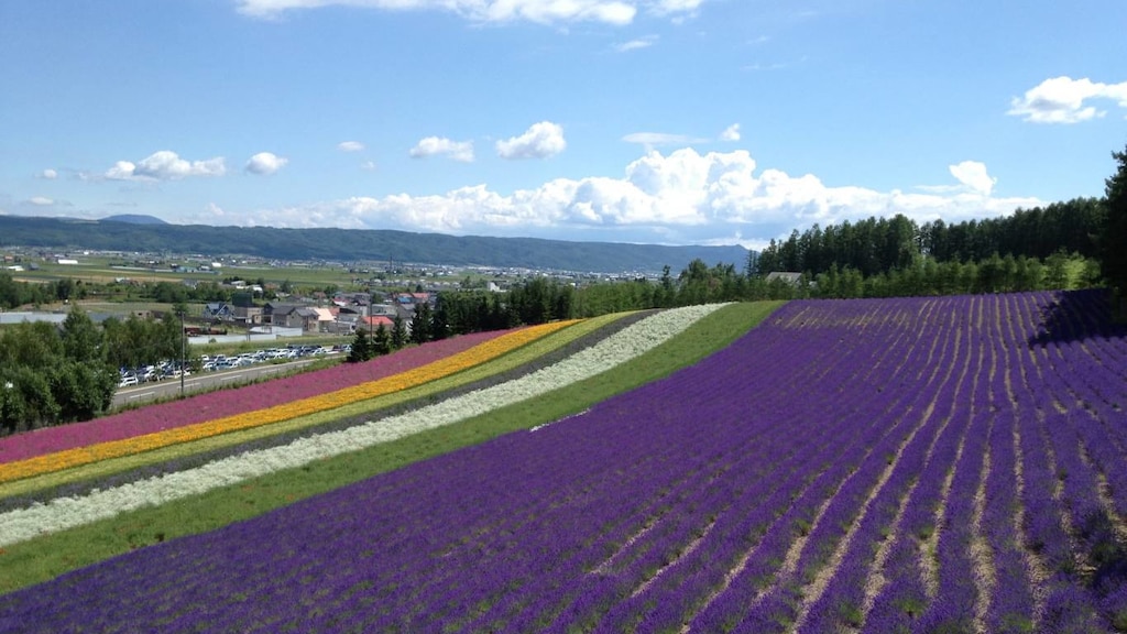 北海道・中富良野町とその周辺でおすすめのホテル9選