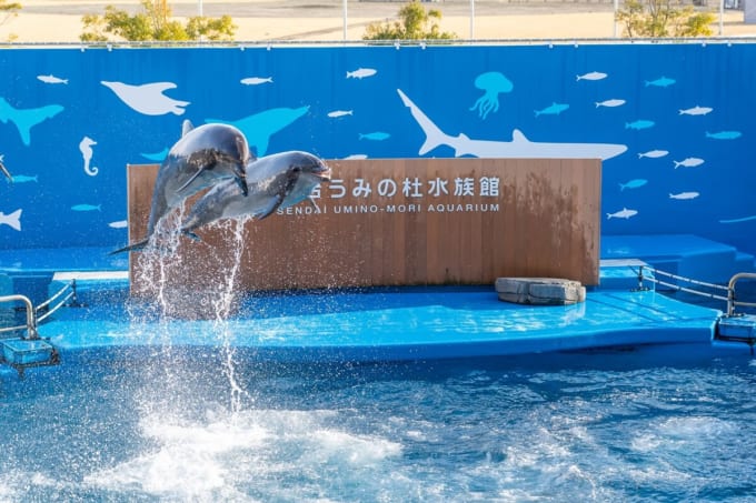 仙台うみの杜水族館