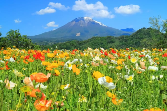 大山/伯耆富士（鳥取県）