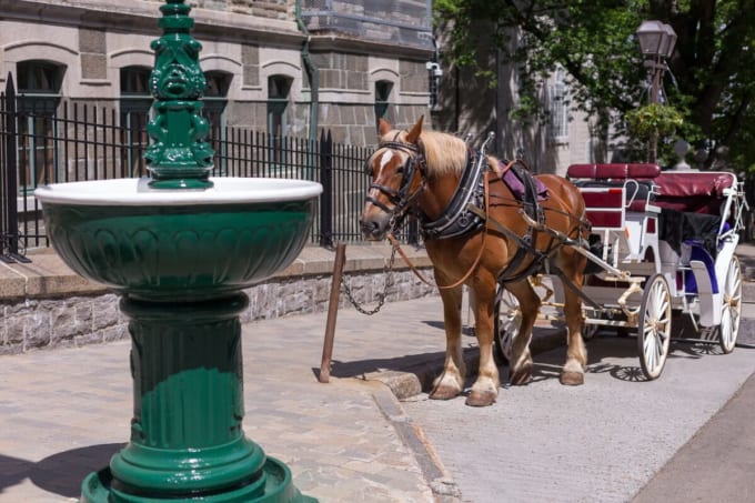 トレゾール通り（ケベックシティ）