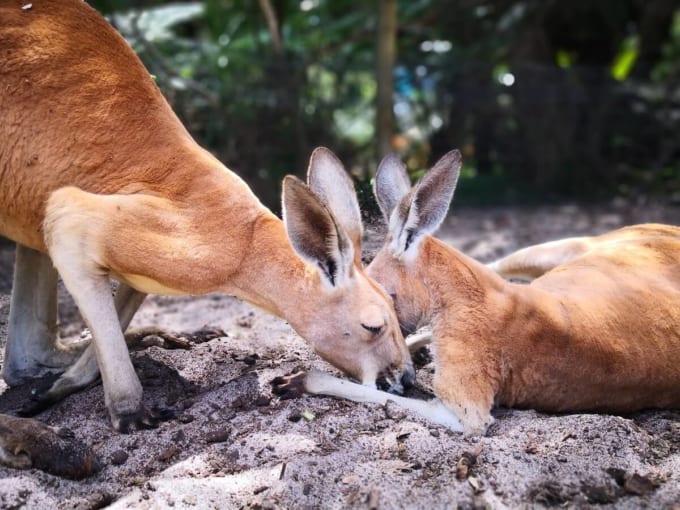 ウェーブロック・ワイルドライフ・パーク