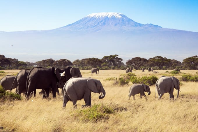 名峰「キリマ・ンジャロ」