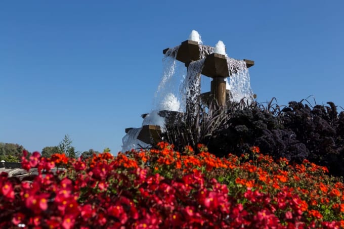 ルーイン・ノランダ