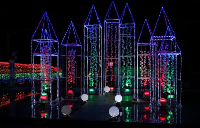 ときわ公園のイルミネーション