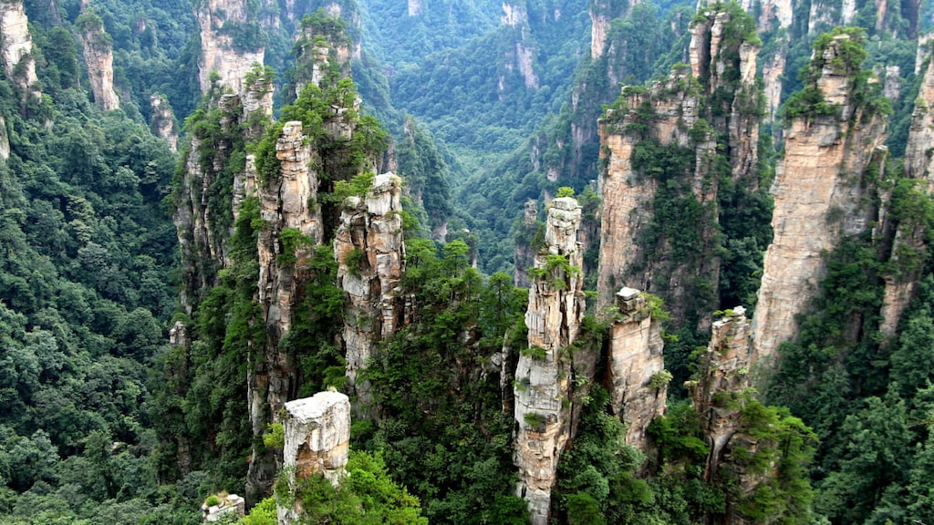 【世界遺産】武陵源の自然景観と歴史地域とは？｜奇岩の柱が林立する自然の魅力！