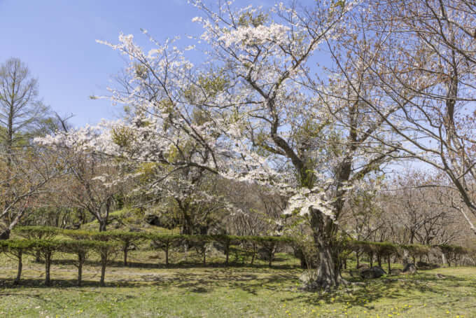 有珠善光寺自然公園