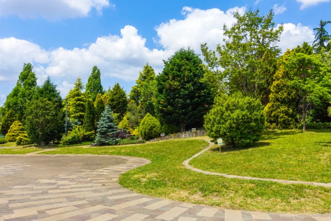 ふたご座流星群 見れる場 武蔵野の森公園所