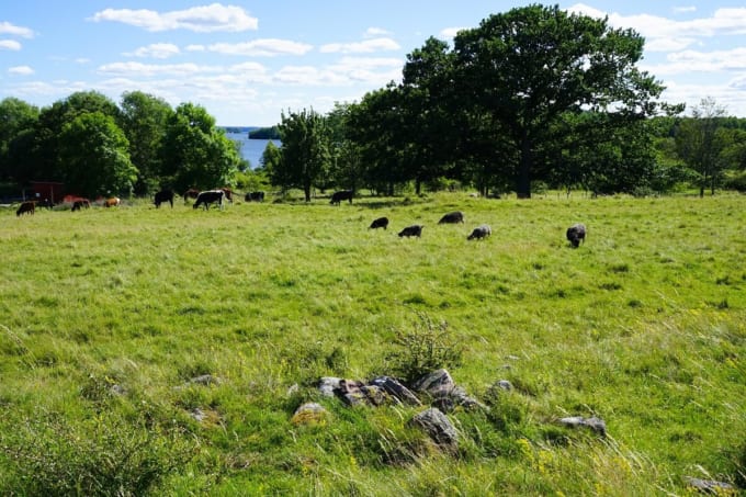 ビルカとホーヴゴーデン