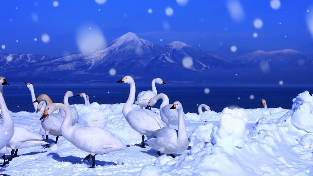 猪苗代湖を満喫！猪苗代湖を巡るおすすめ観光スポットを紹介します