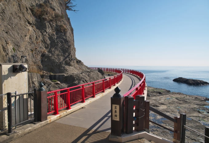 カノープス 見える場所