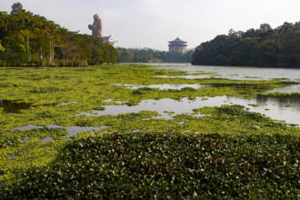 【ハイテクとローカルな街】新竹市のおすすめホテルまとめ！