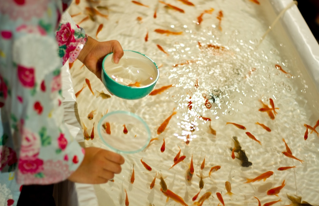 かほく市が熱い！！みんな集まれ！花火とお祭り！！