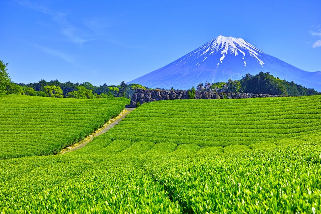 どこでも富士山を感じる町・静岡県富士市の人気観光スポット16選