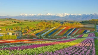 美瑛パッチワークの丘（北海道）