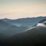 和歌山の大門坂（熊野古道）を散策しよう！観光スポットもご紹介