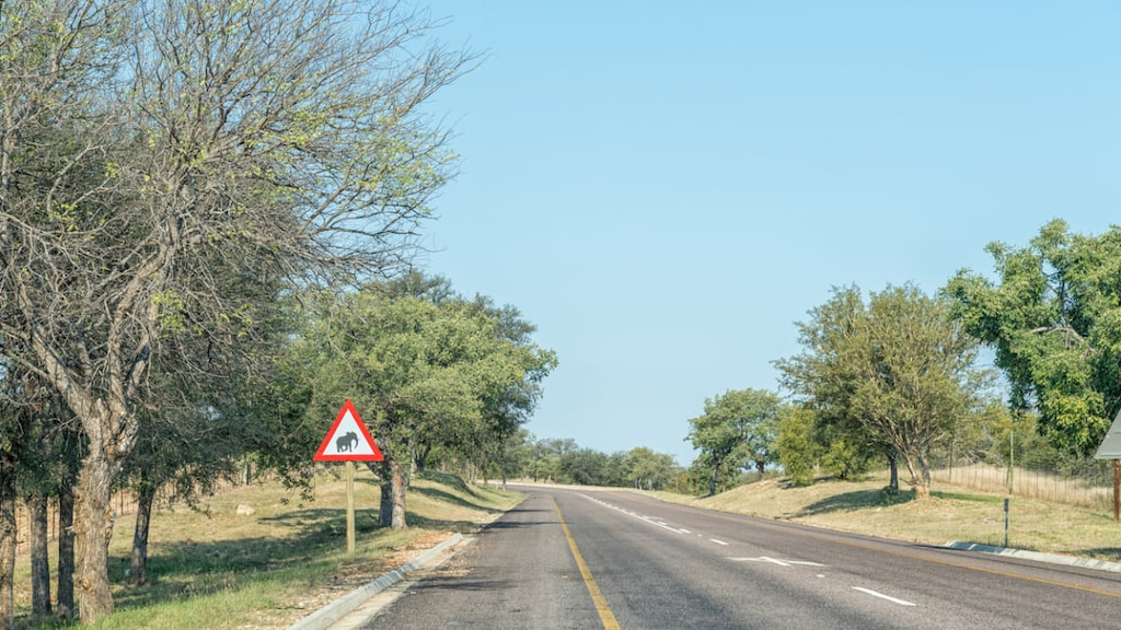 クルーガー国立公園に直結！南アフリカ・ファラボルワの観光地3選