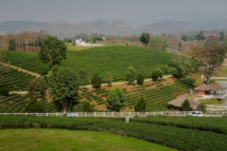 タイ チェンライ メーチャンの自然豊富