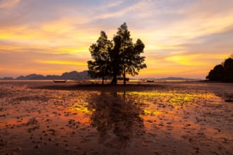 タイのタクワトゥンにある美しい朝の風景