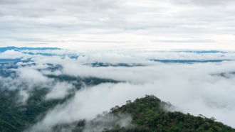 タイ トーンパープームの豊富な自然が残るトンパプム国立公園