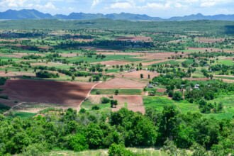 タイのパクチョンの多くの残る自然の景観