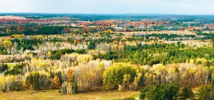 アイアンマウンテン