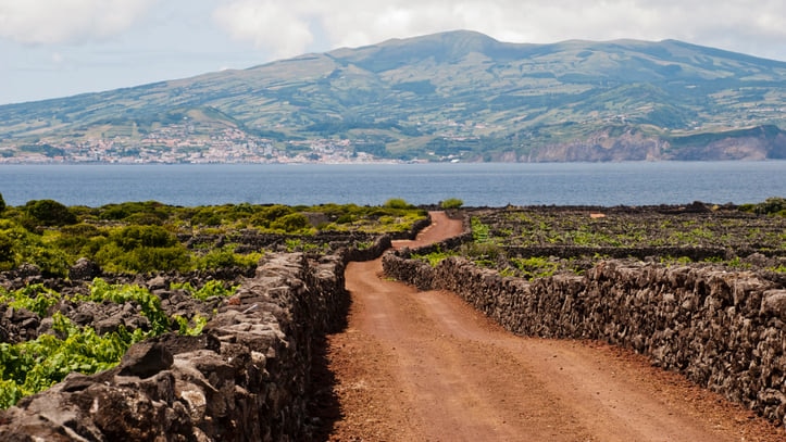 黒い石垣と自然の調和が美しい！世界遺産「ピコ島のブドウ畑文化の景観」