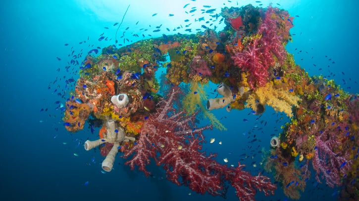トラック島と呼ばれた世界最大級の環礁！チューク諸島のおすすめ観光4選