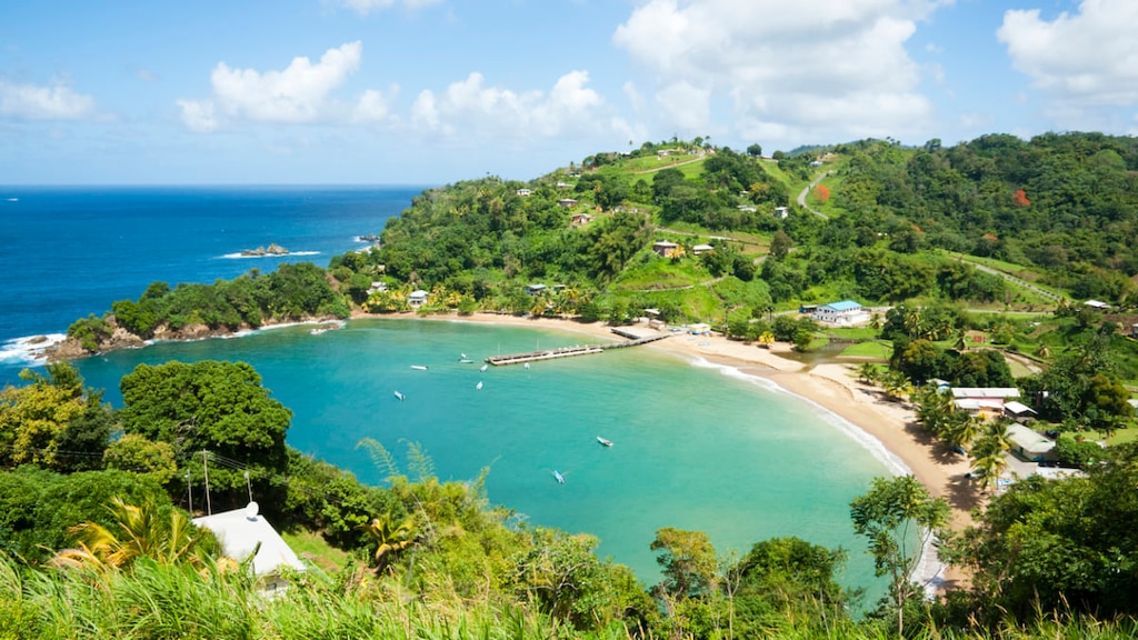 カリブ海に浮かぶ情熱の島、トリニダード・トバゴ観光スポット5選