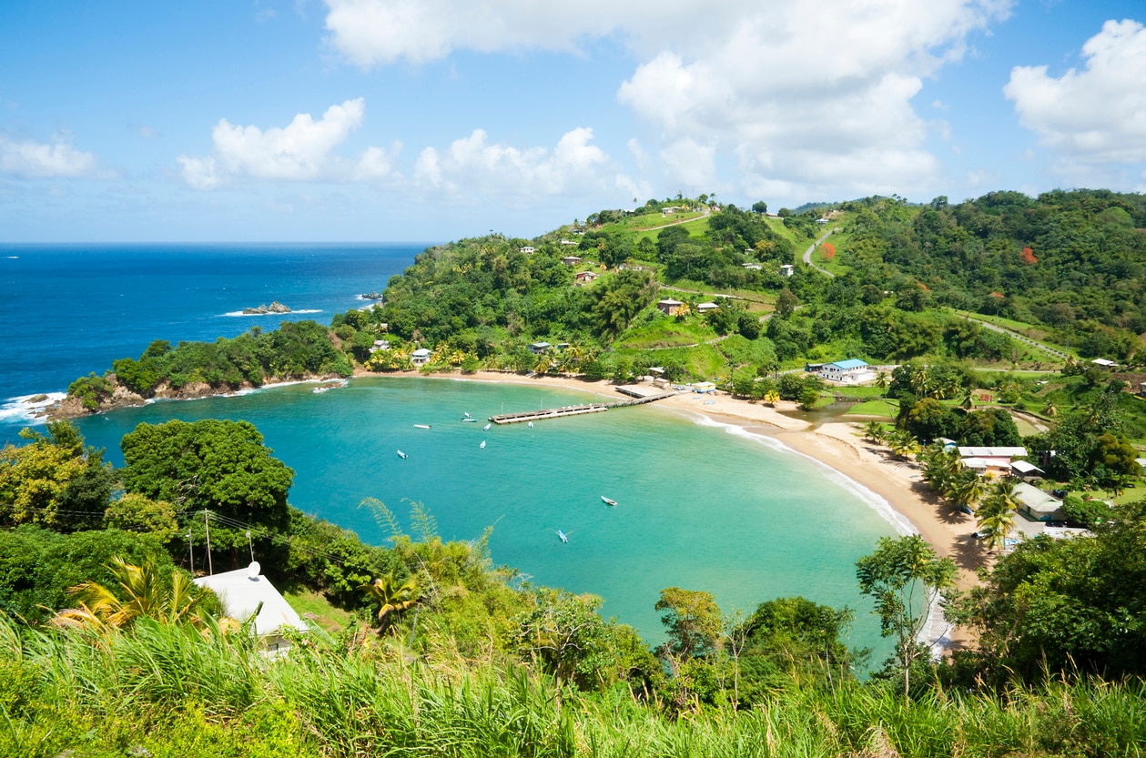 カリブ海に浮かぶ情熱の島、トリニダード・トバゴ観光スポット5選 ...
