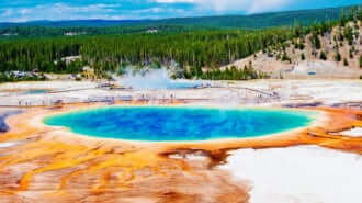 イエローストーン国立公園