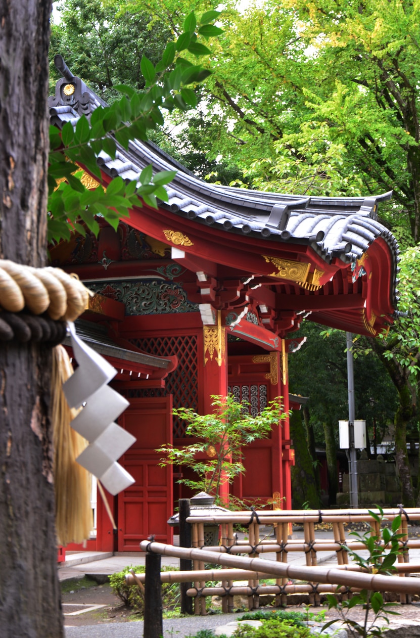 【関東地方8選】初詣するならこの神社がオススメ！