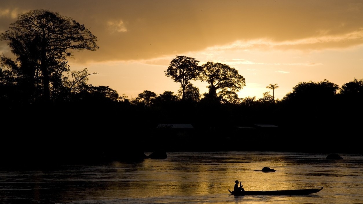 南米異色の小国、アジアンテイストなスリナムの旅5つの厳選観光スポット skyticket 観光ガイド