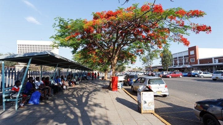 ジンバブエ第二の都市ブラワヨのおすすめ観光スポット4選！