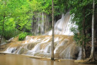 タイ、サイヨーク県（ナムトクサイヨクノイ）の森の中の滝