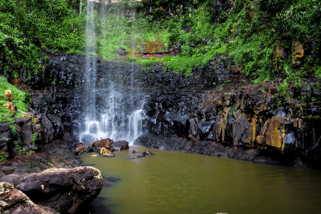 世界最古の熱帯雨林地帯が残るクインズランドの湿潤熱帯地域