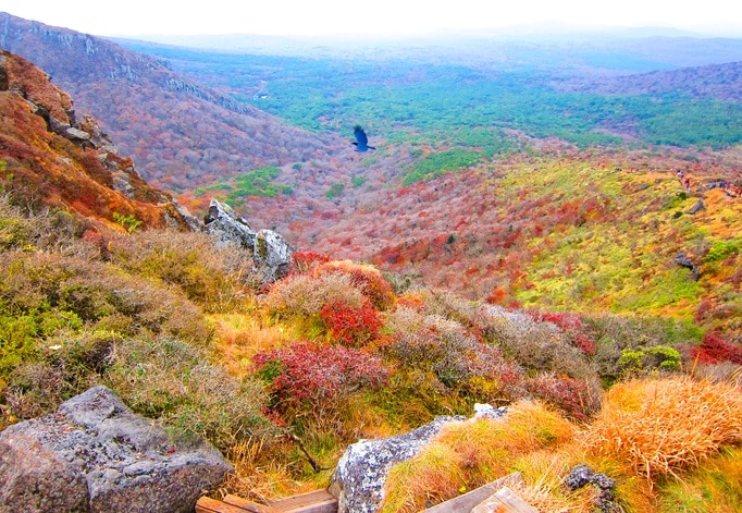夏だけじゃない！秋も魅力がいっぱいの済州で紅葉やロケ地を満喫しよう！
