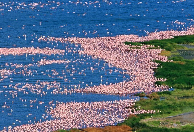 美しい自然と野生動物に会いに行こう！ケニアおすすめ観光スポット5選 skyticket 観光ガイド