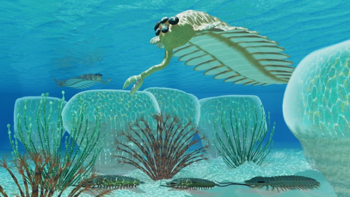 世界遺産】澄江の化石産地とは？｜カンブリア紀の奇妙な生き物が