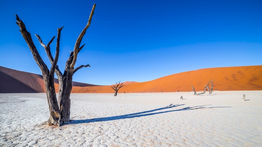 魂が震える砂漠の絶景！アフリカ・ナミビアの人気観光スポット14選