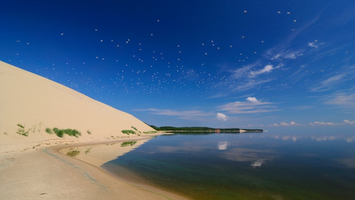 緑と砂丘とバルト海のコントラストはまさに絶景！ロシアの世界遺産クルシュー砂州をご紹介