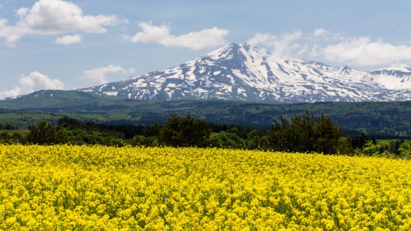 秋田県由利本荘市とその周辺の観光スポット5選！自然と歴史を堪能しよう！