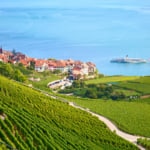 ラヴォー地区のブドウ畑【スイス世界遺産】