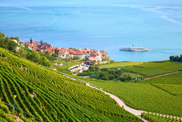 絶景が広がる葡萄畑！世界遺産スイス・ラヴォー地区の歴史と希少ワイン